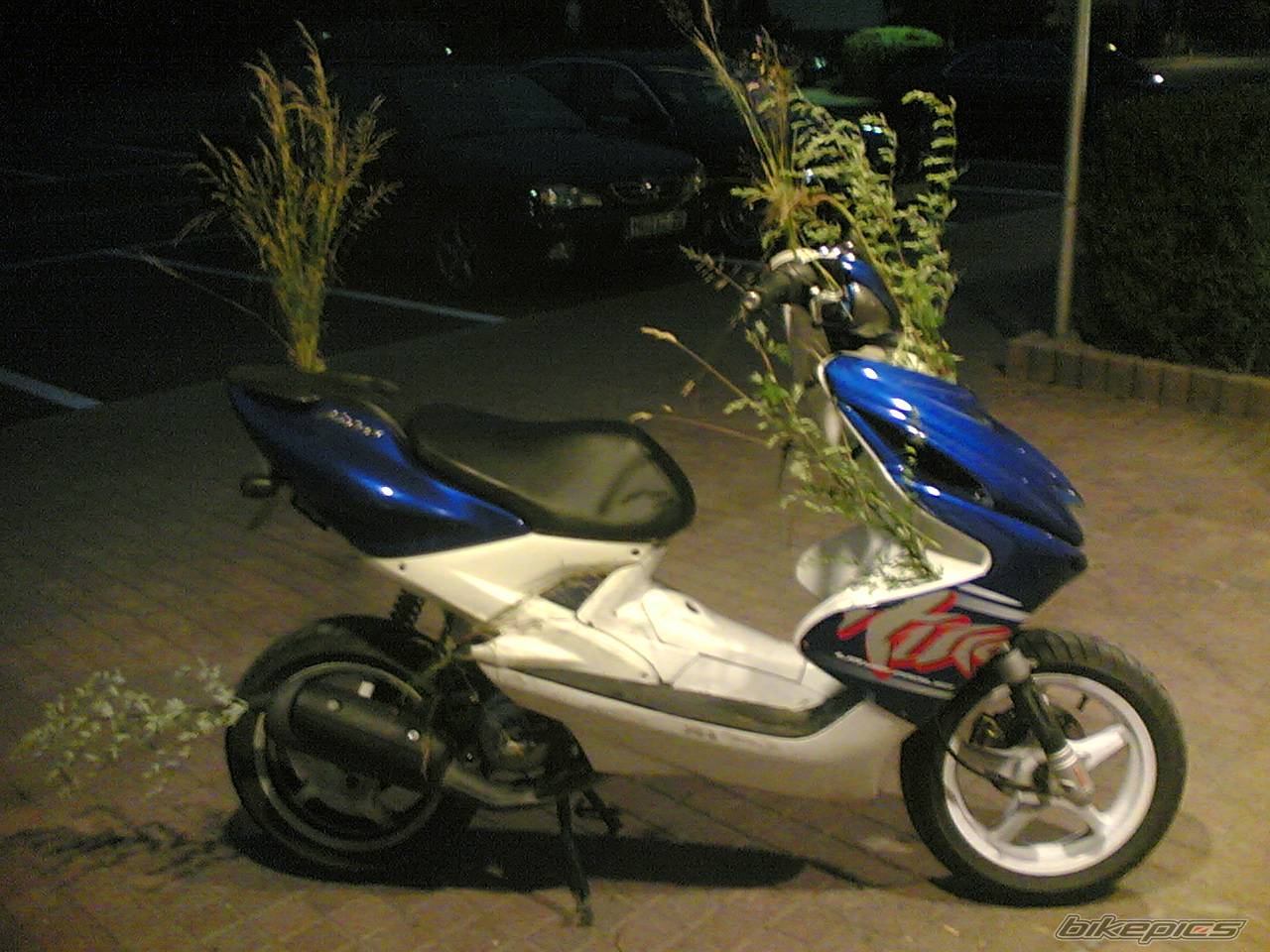 Bike Photo 407731