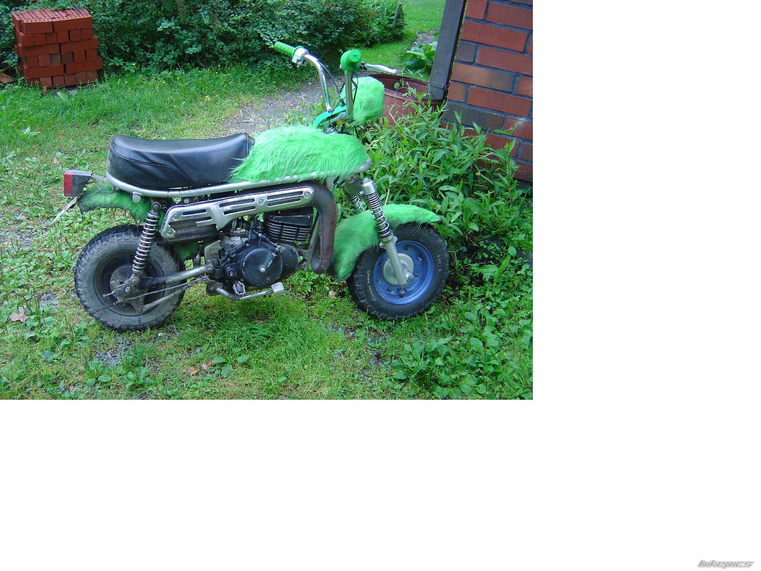 Photo 407877