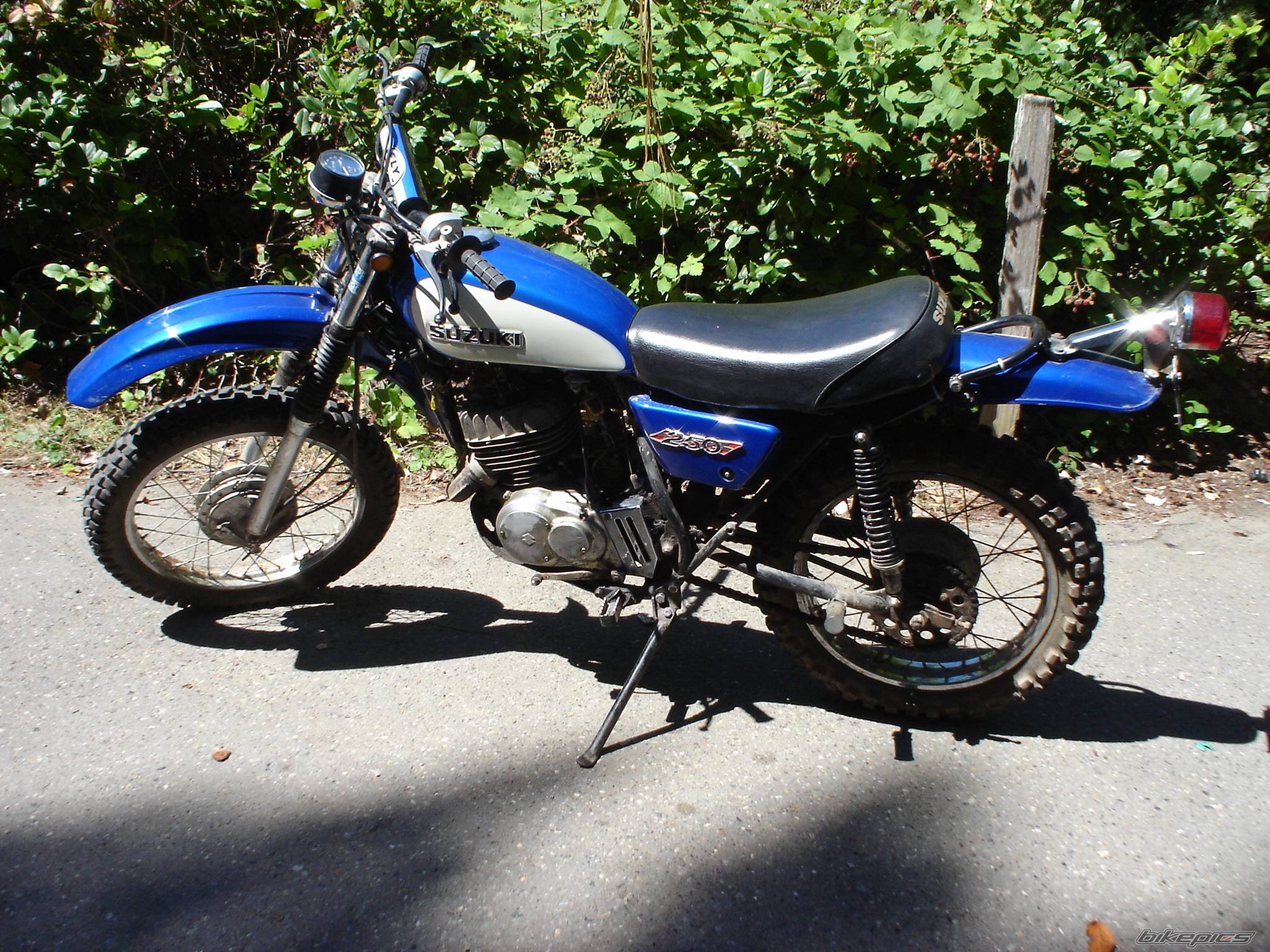Photo 407932