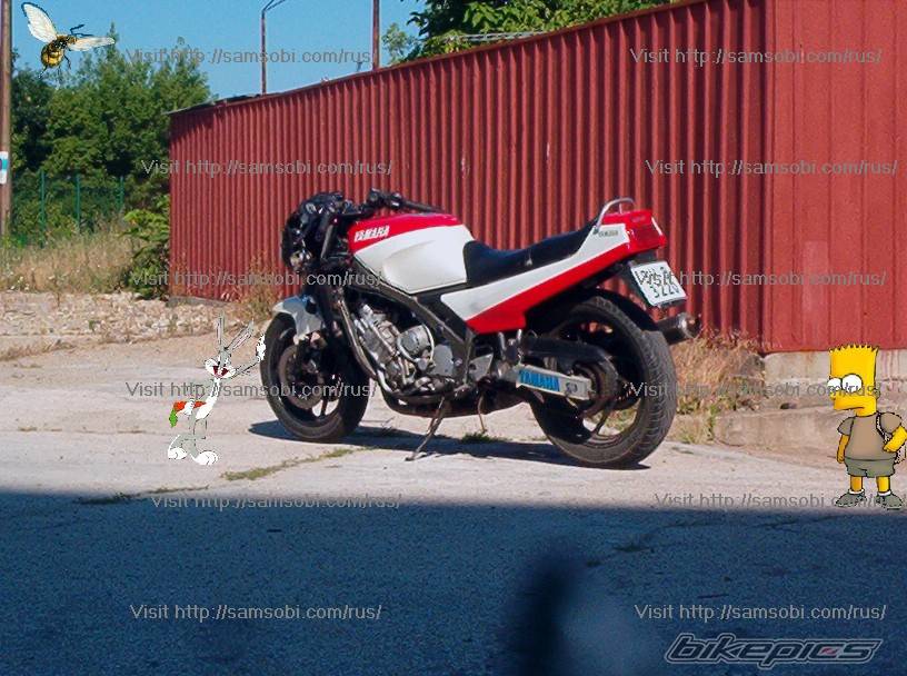Bike Photo 408386