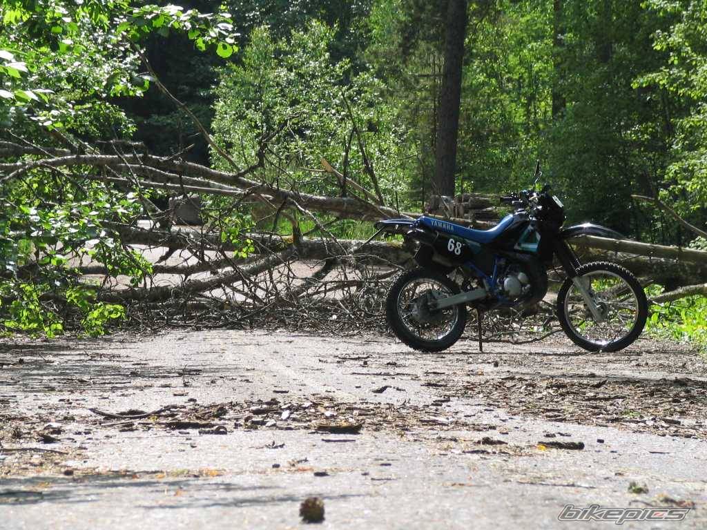 Bike Photo 408461