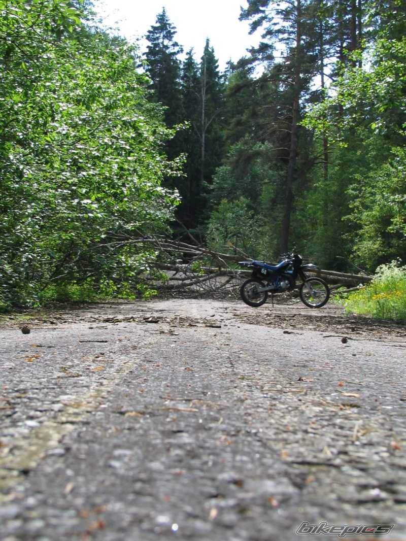 Bike Photo 408463