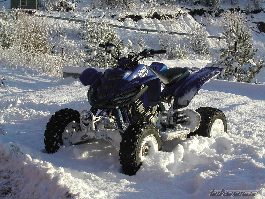 Photo 408641