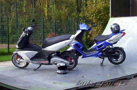 Photo 40868