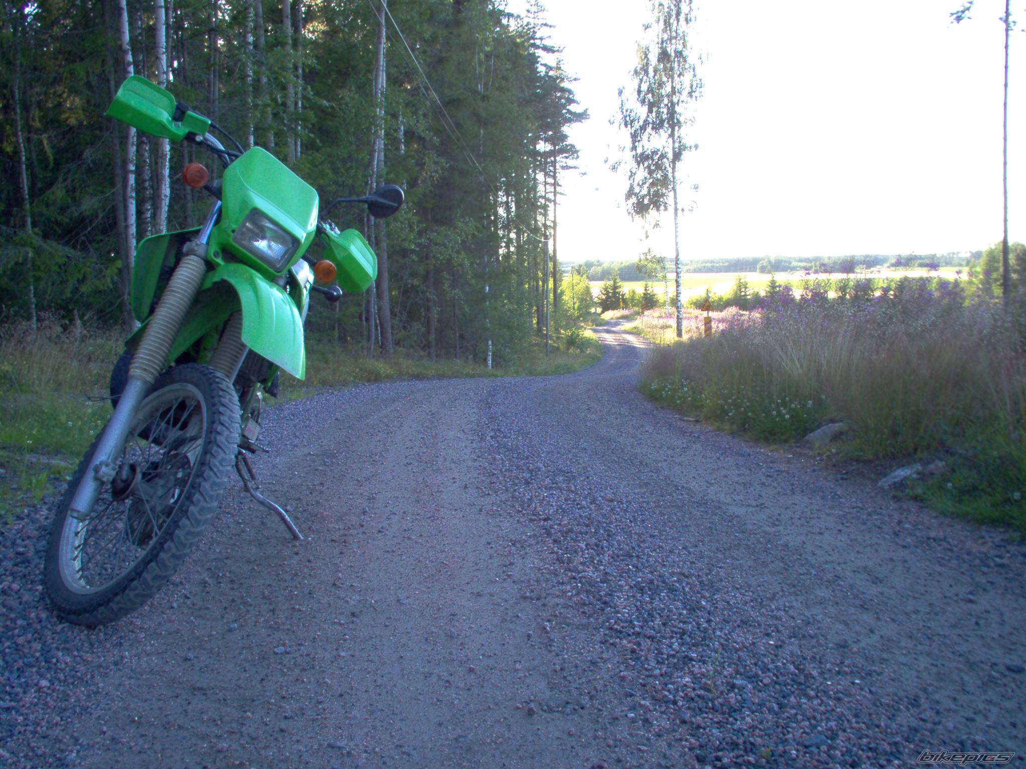 Photo 408681
