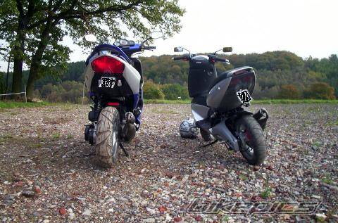 Photo 40871
