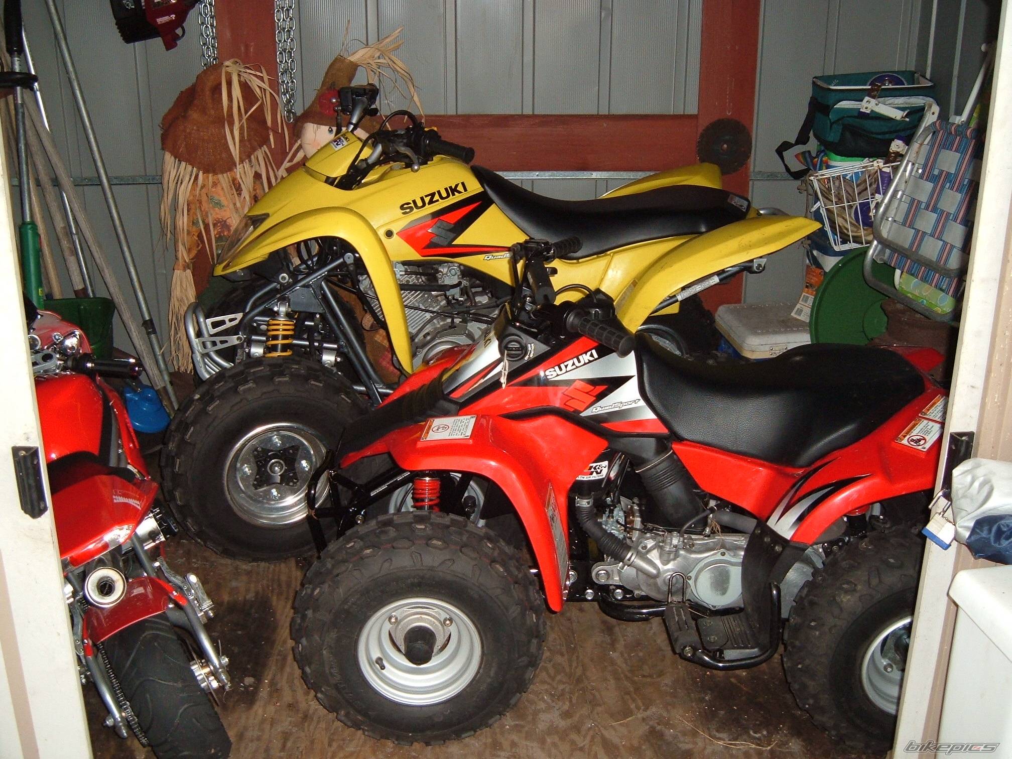 Photo 408726