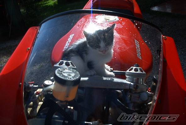 Photo 40936