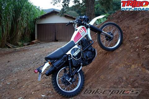 Bike Photo 409388