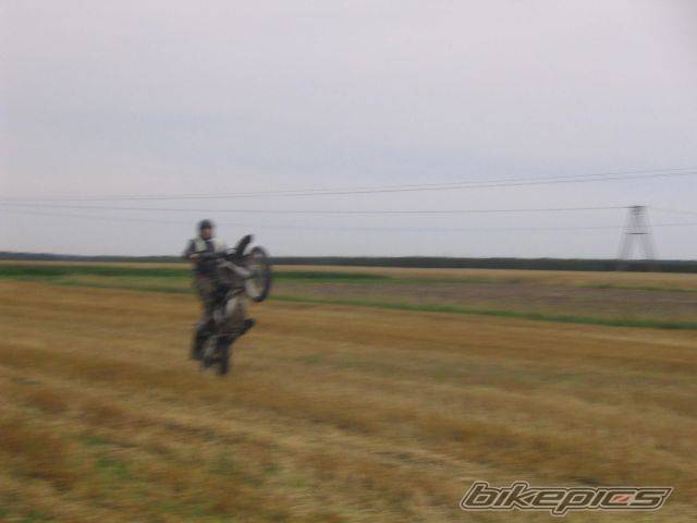 Photo 409465