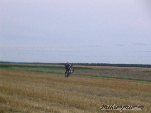 Photo 409466