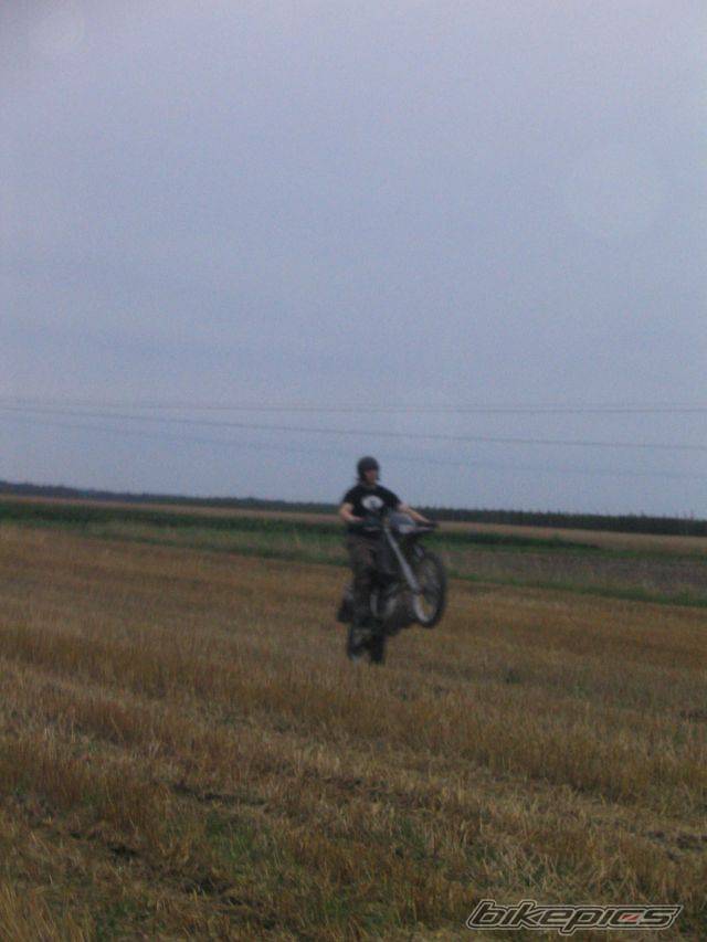 Photo 409490