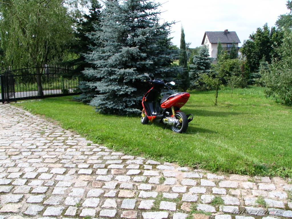 Photo 409634