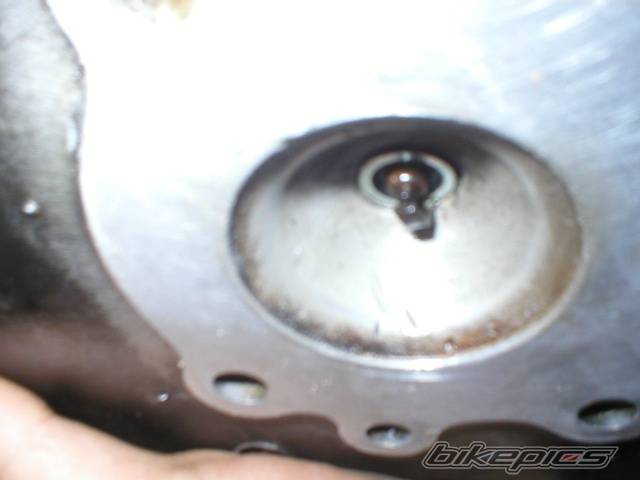 Photo 409679