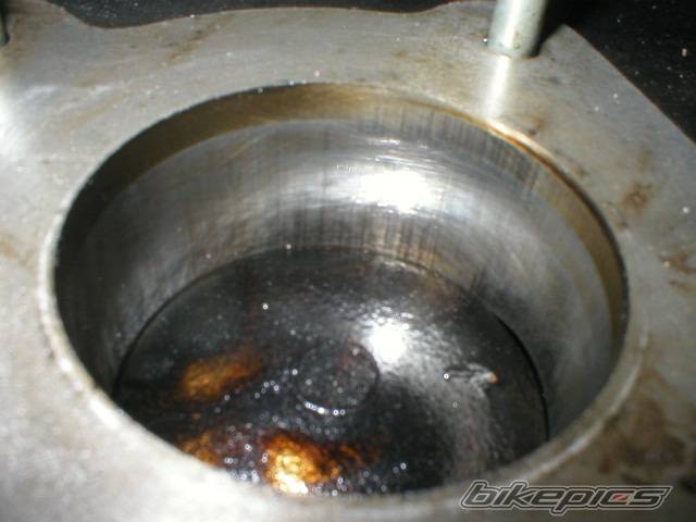 Photo 409693