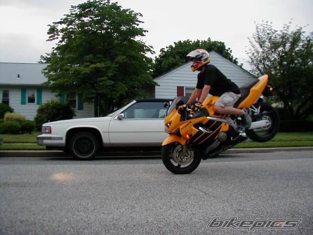 Photo 4097