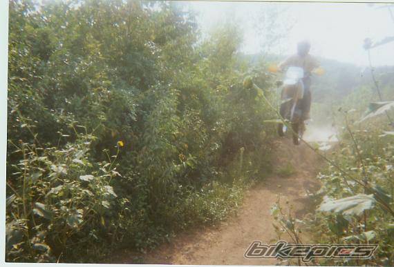 Photo 40974