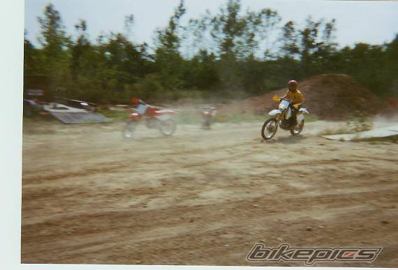 Photo 40978