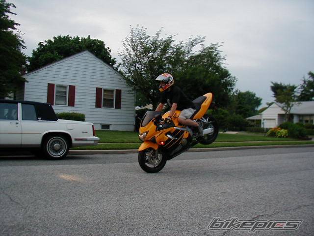 Photo 4098