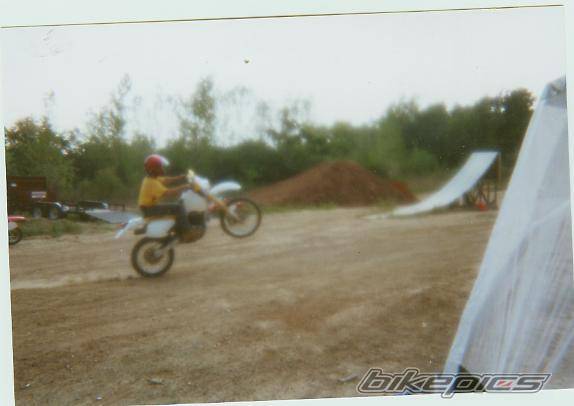 Photo 40980