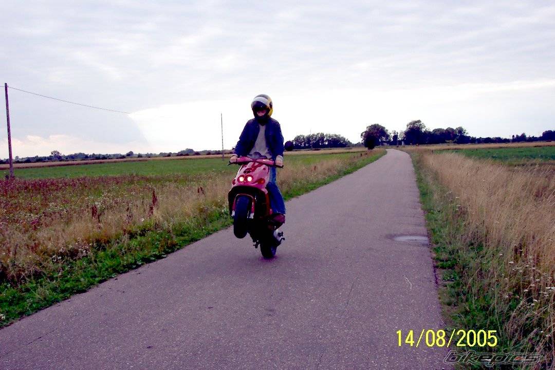 Photo 409807