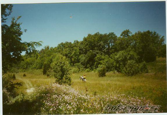 Photo 40981