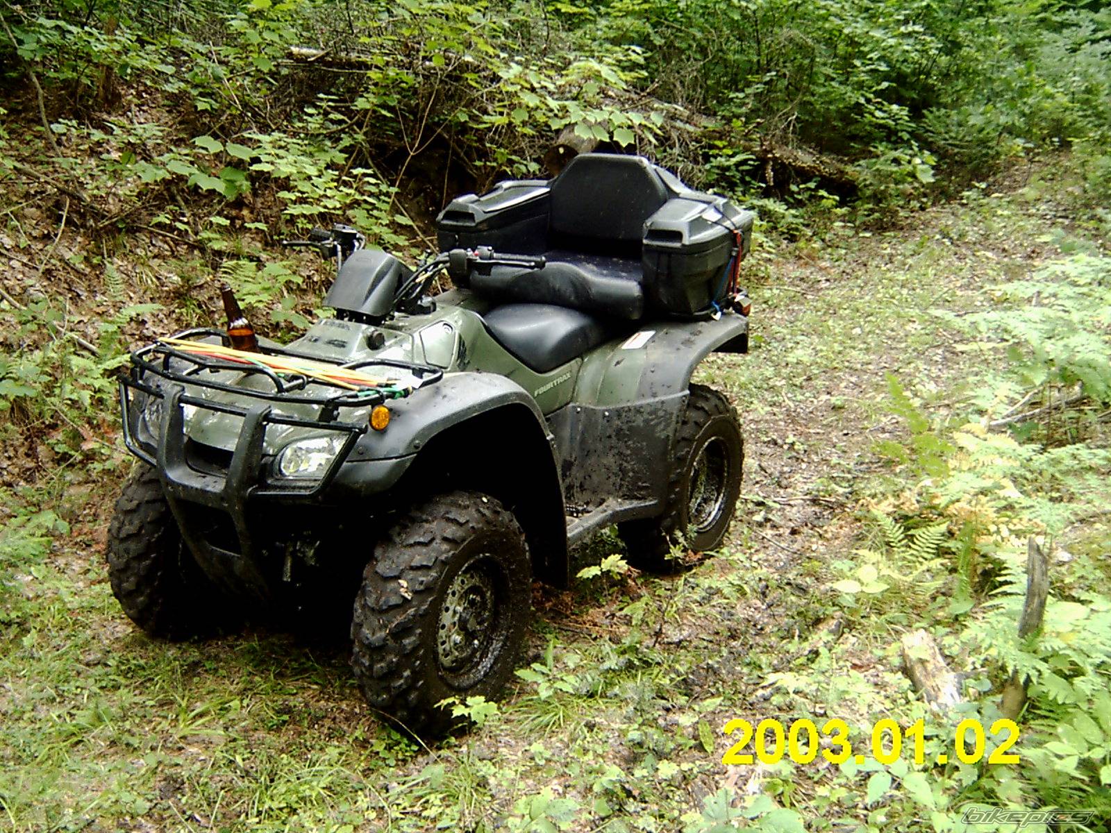 Photo 409864