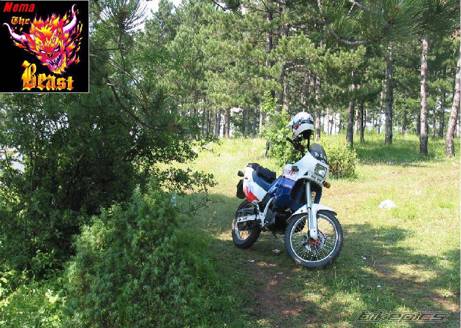 Bike Photo 410213