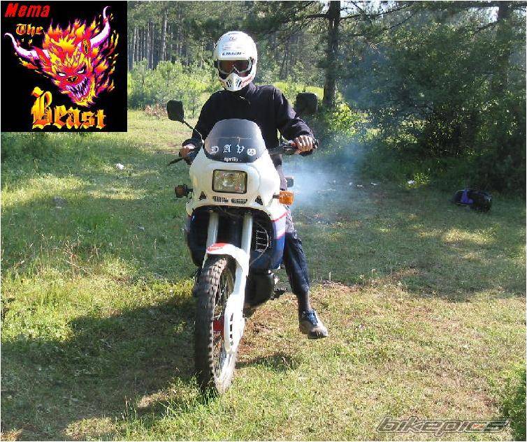 Bike Photo 410216