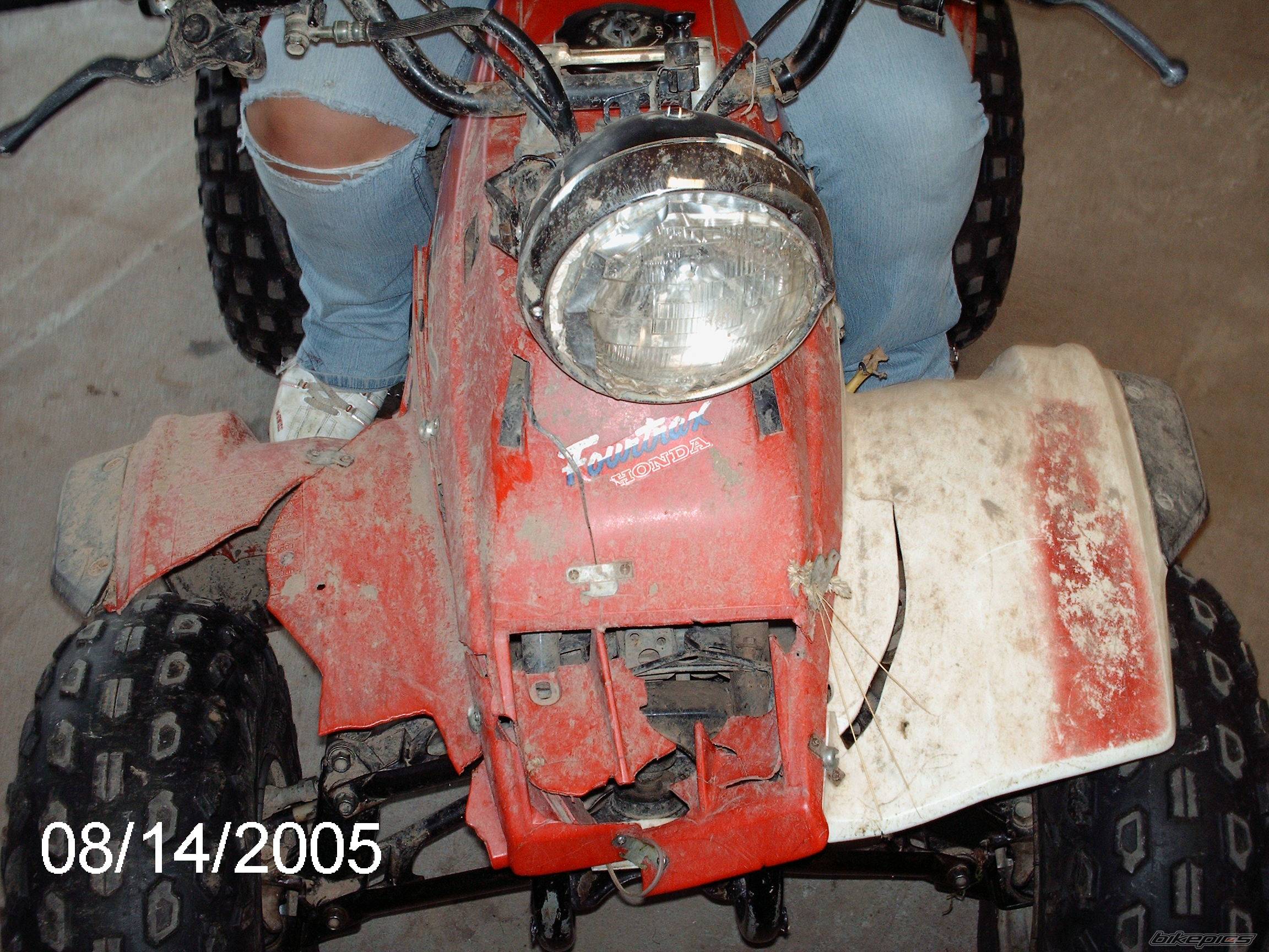Photo 410448