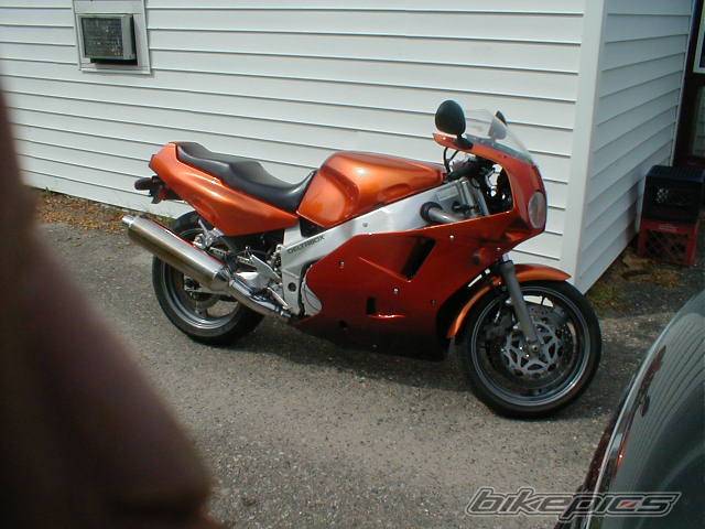 Photo 410568