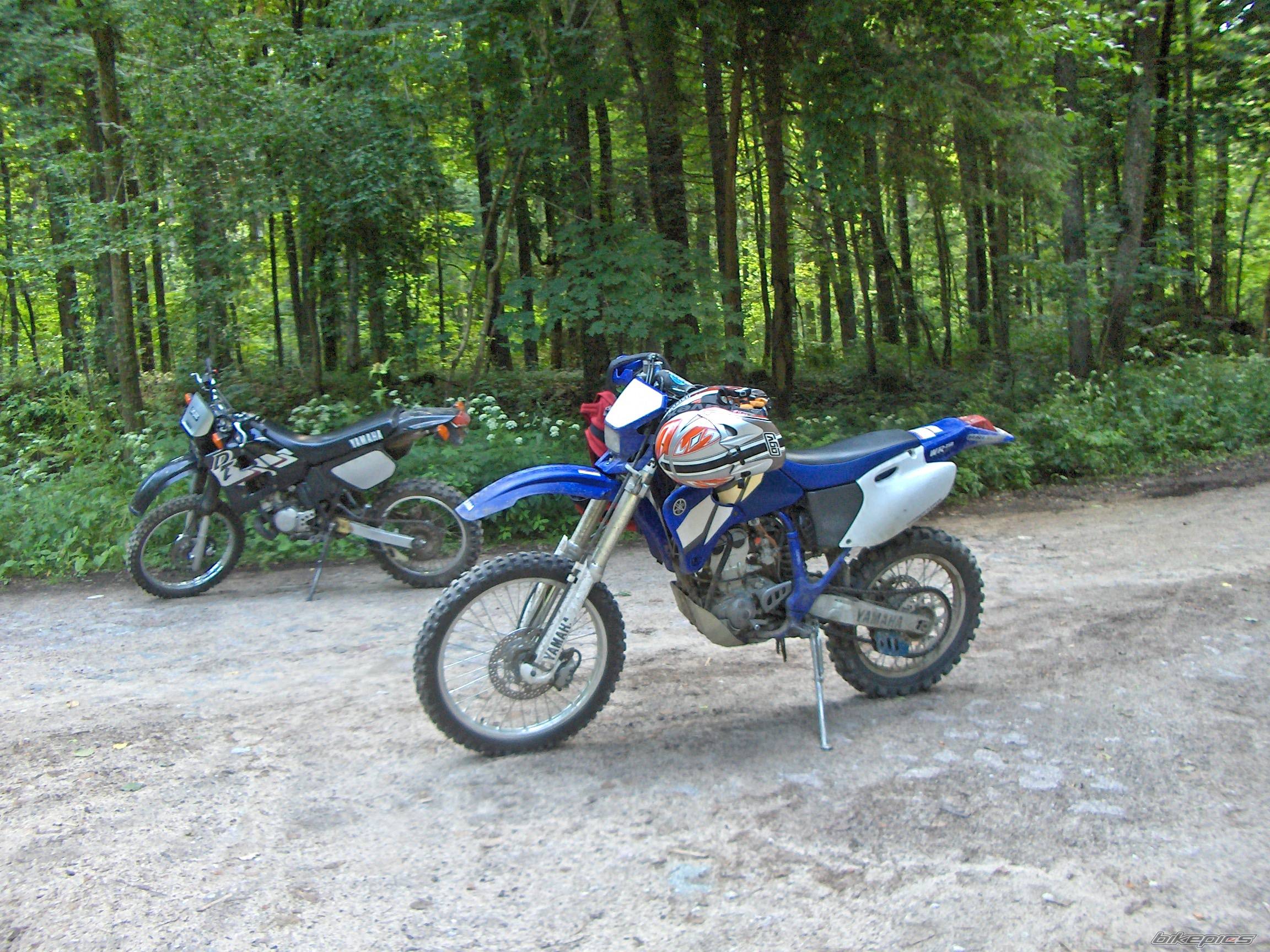 Photo 410627