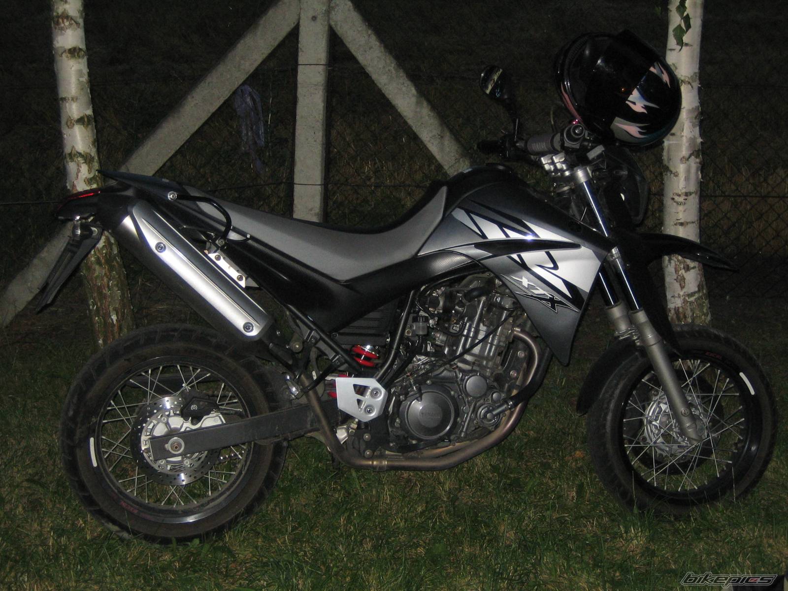 Photo 410658