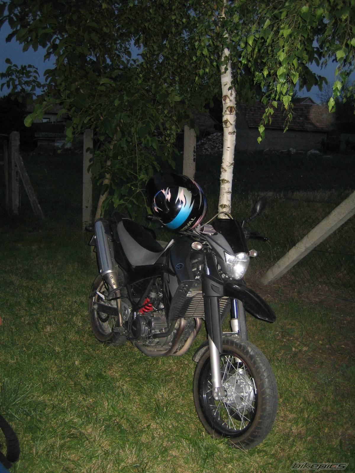 Photo 410659