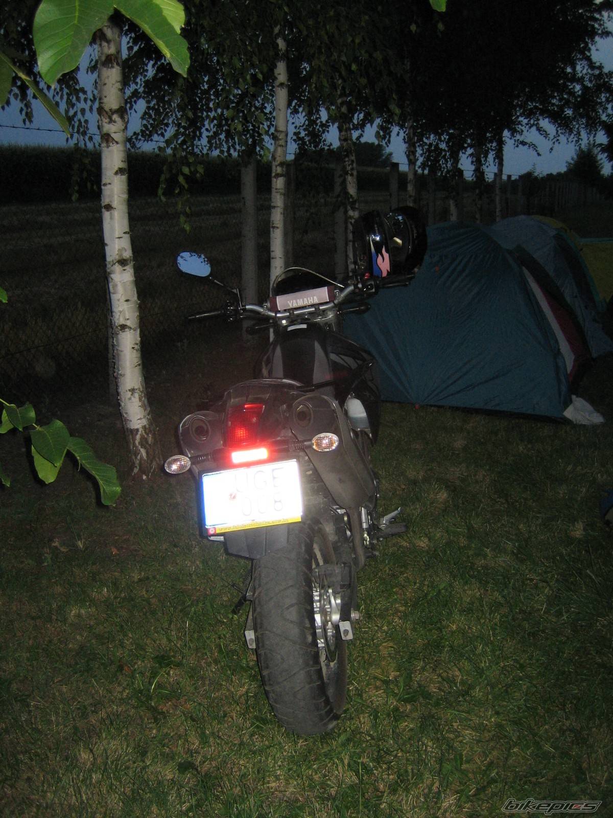 Photo 410660
