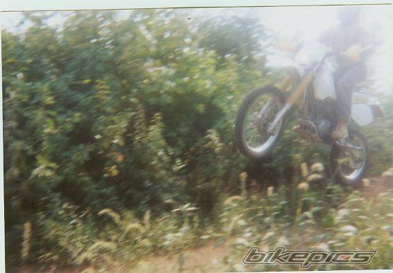 Photo 41081