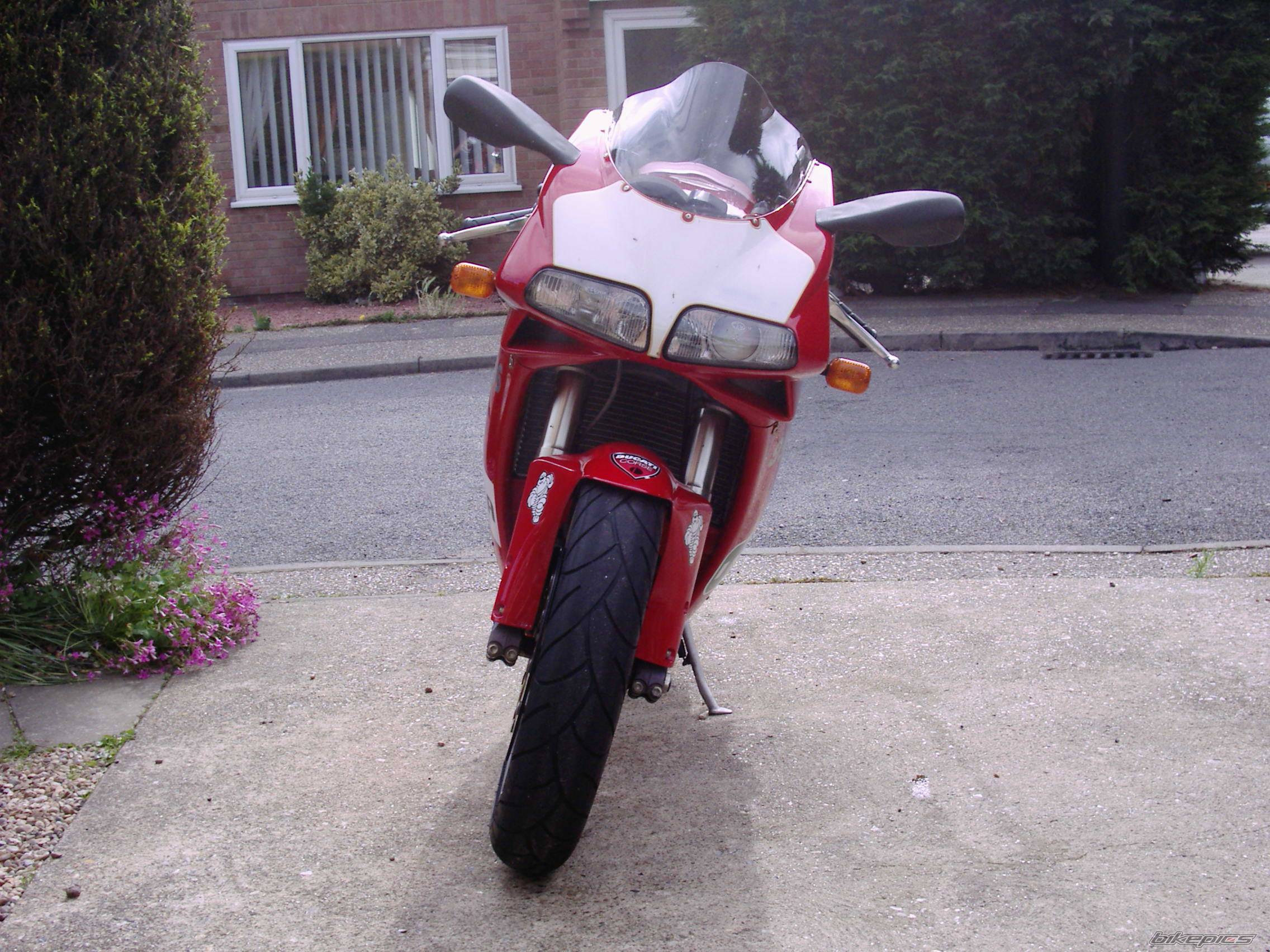 Photo 410835