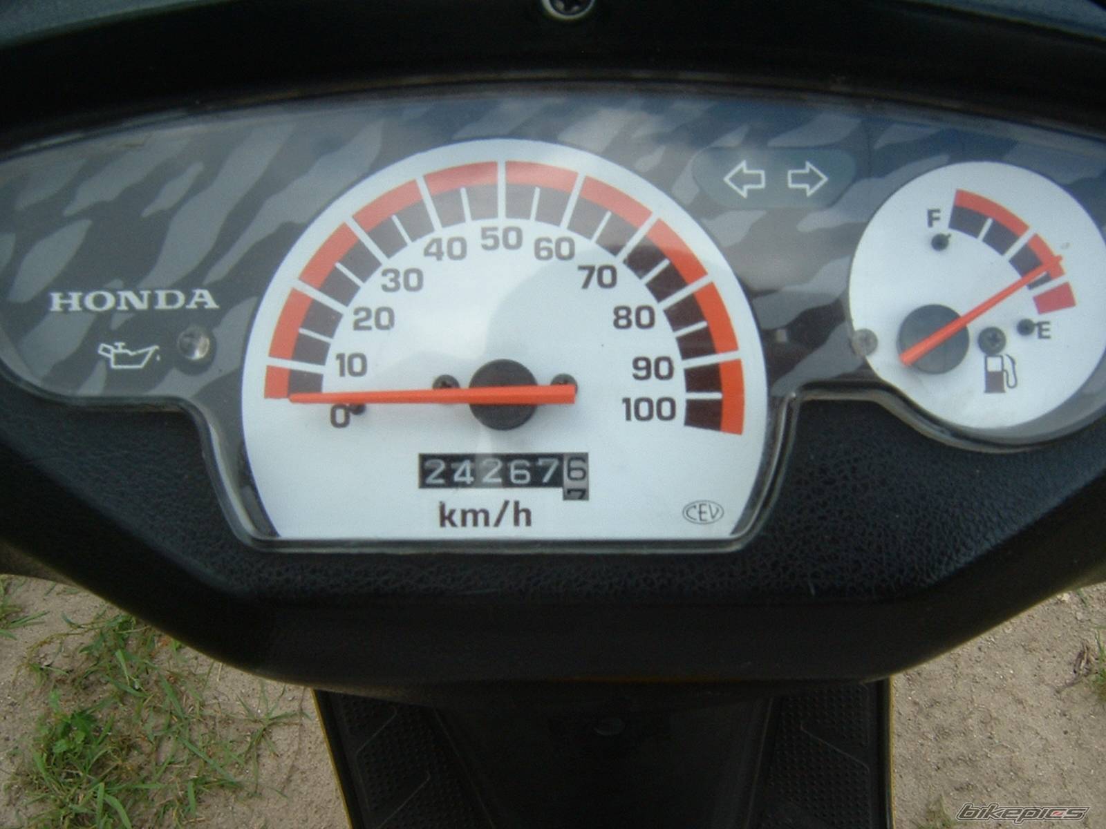 Photo 410872