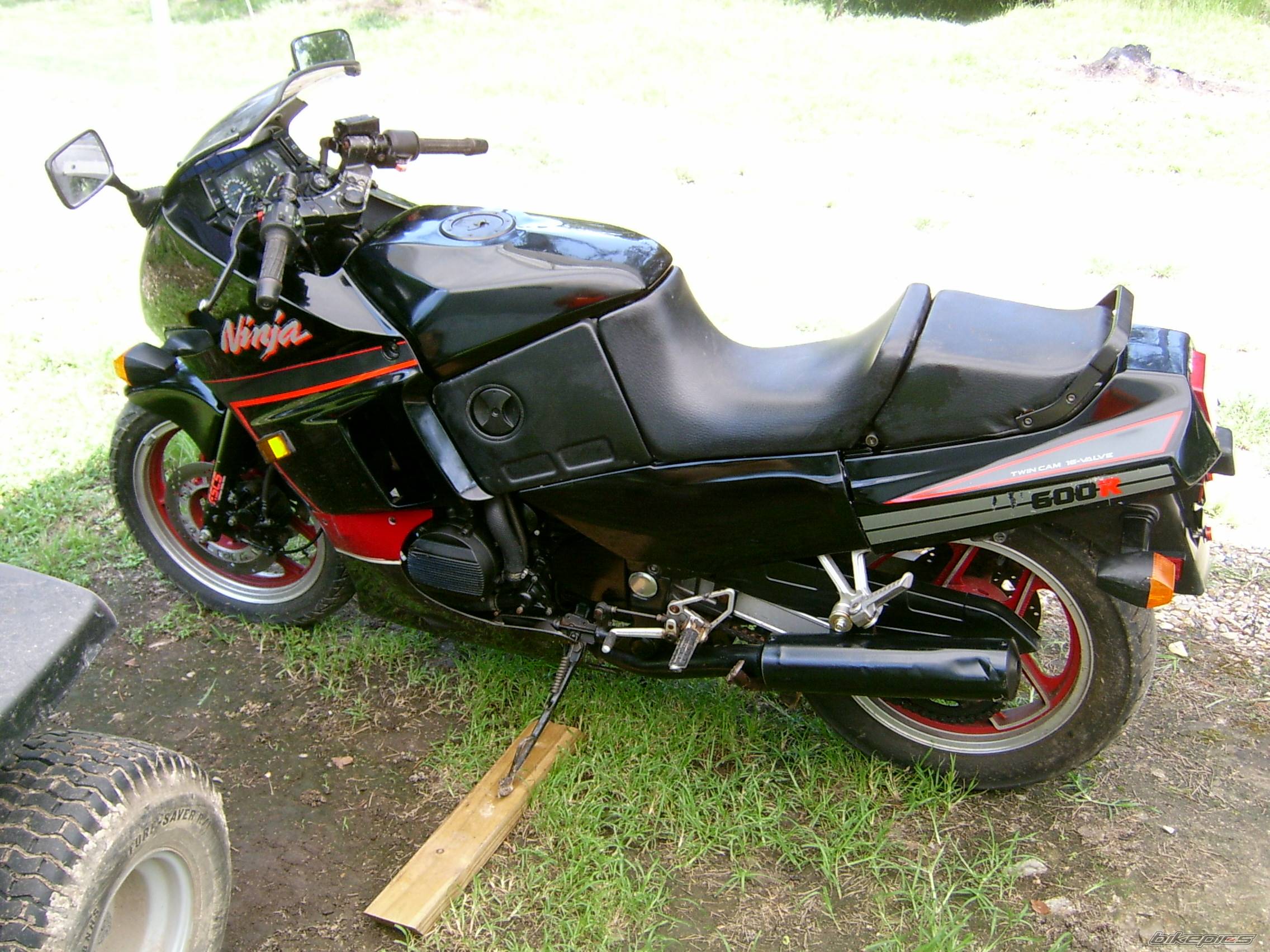 Photo 410929