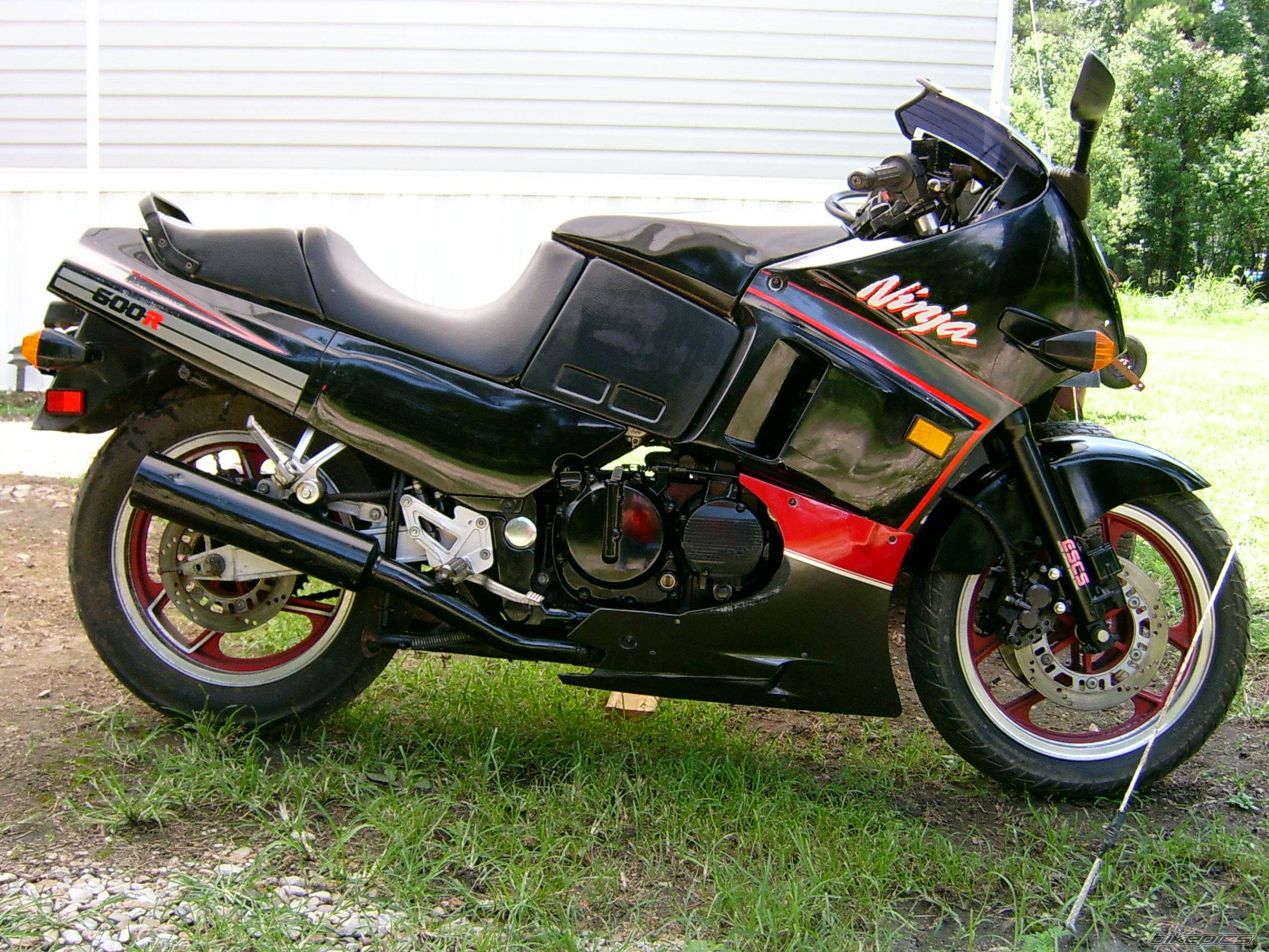 Photo 410930