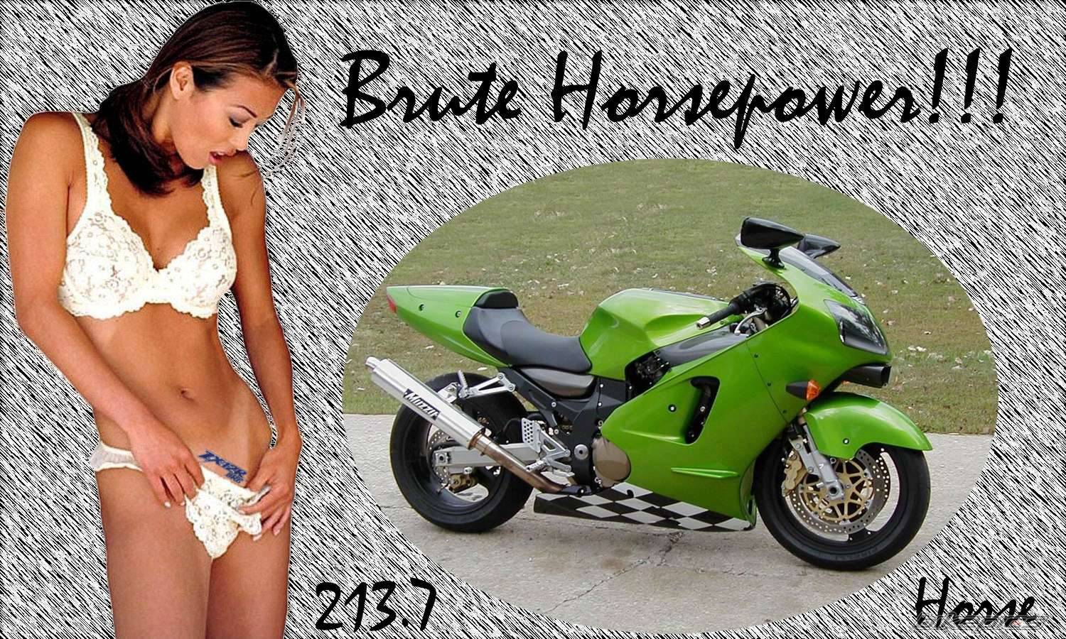 Bike Photo 41099