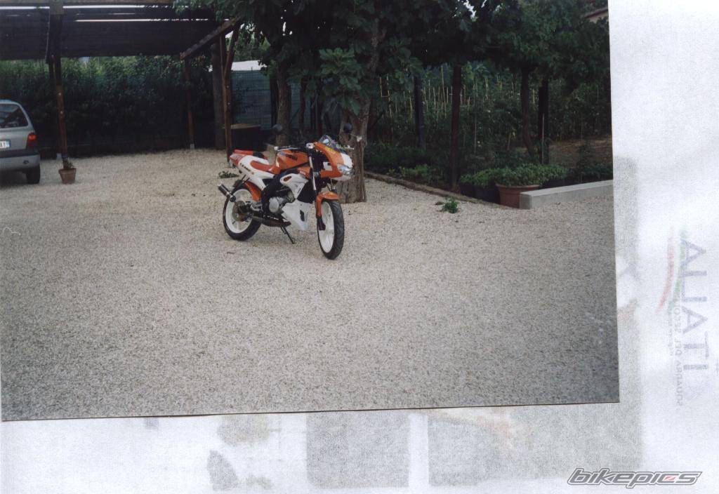 Photo 411007