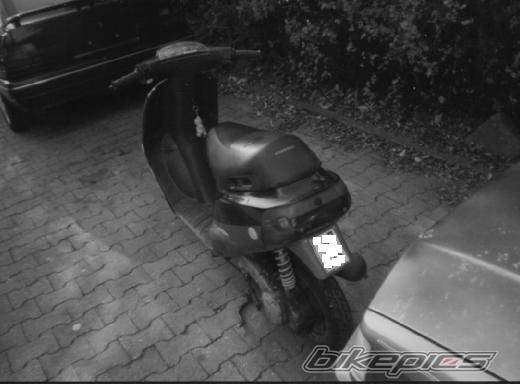 Photo 41103