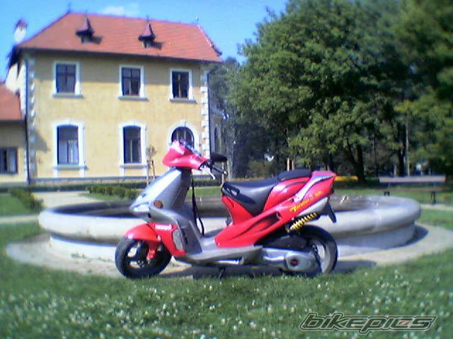 Photo 411576