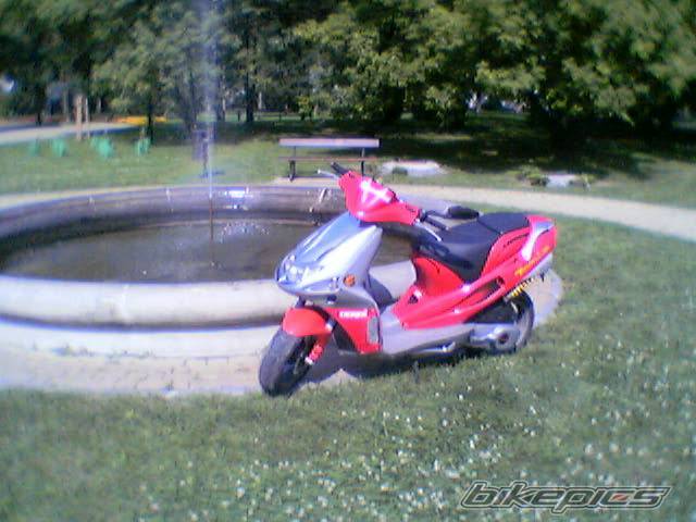 Photo 411578