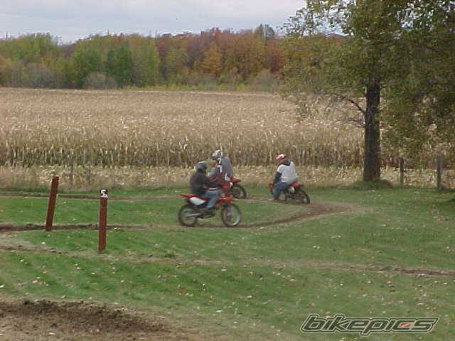 Photo 41161