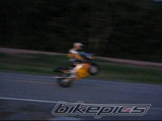 Photo 411638
