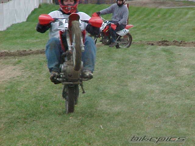 Photo 41166