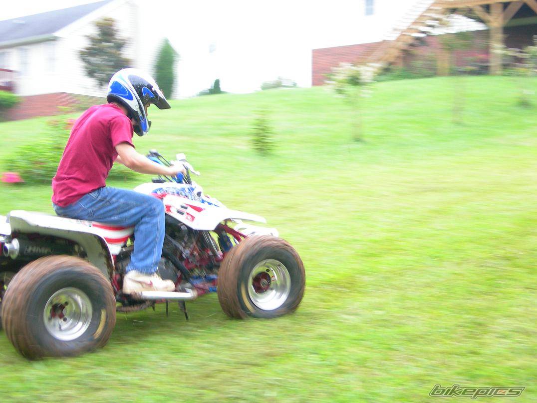 Photo 411678