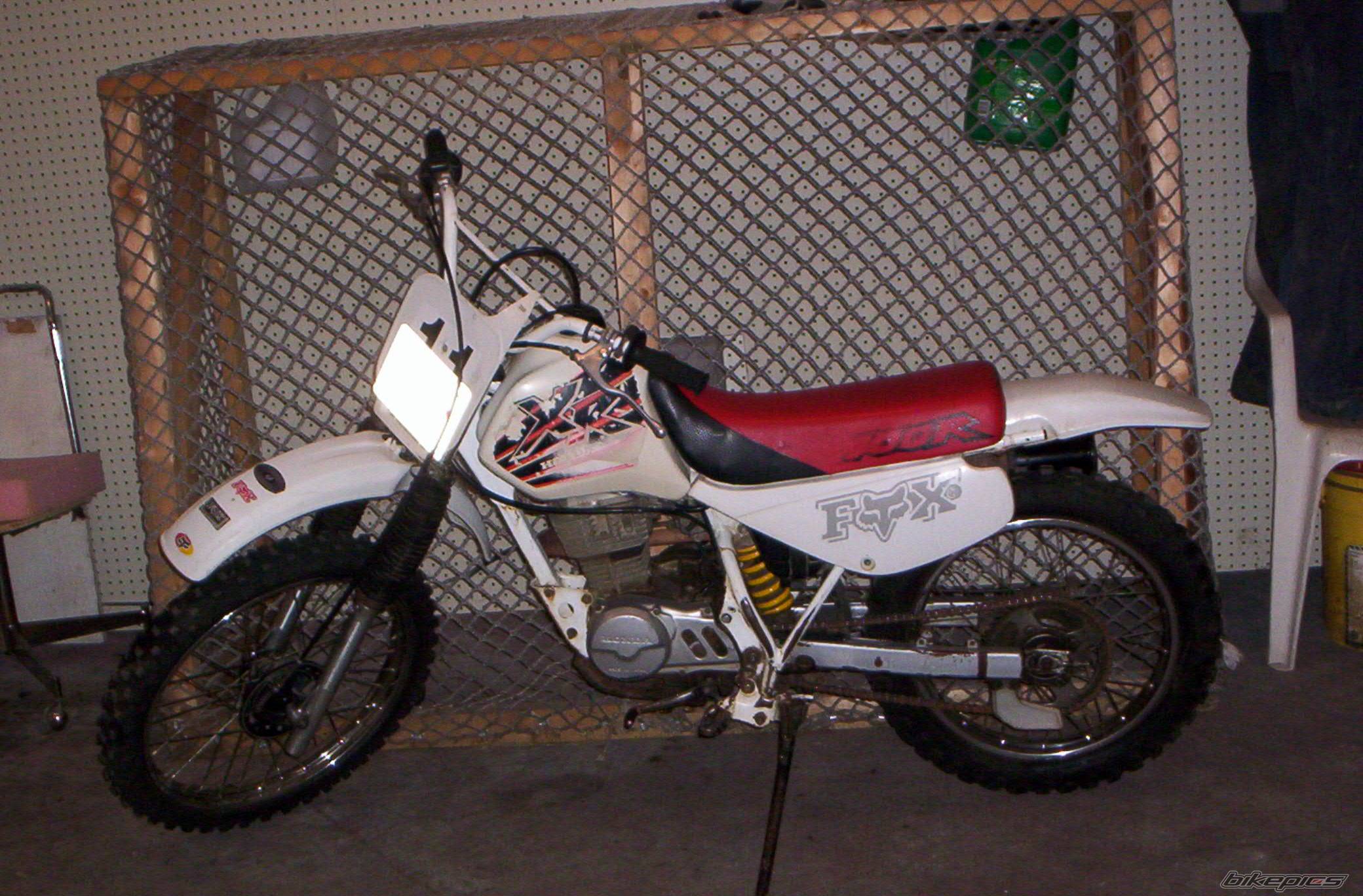Photo 411724